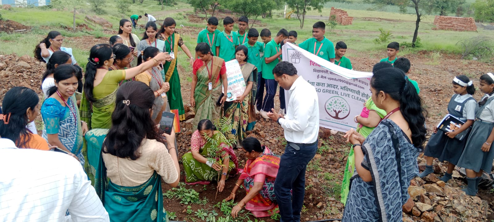 Tree Plantation