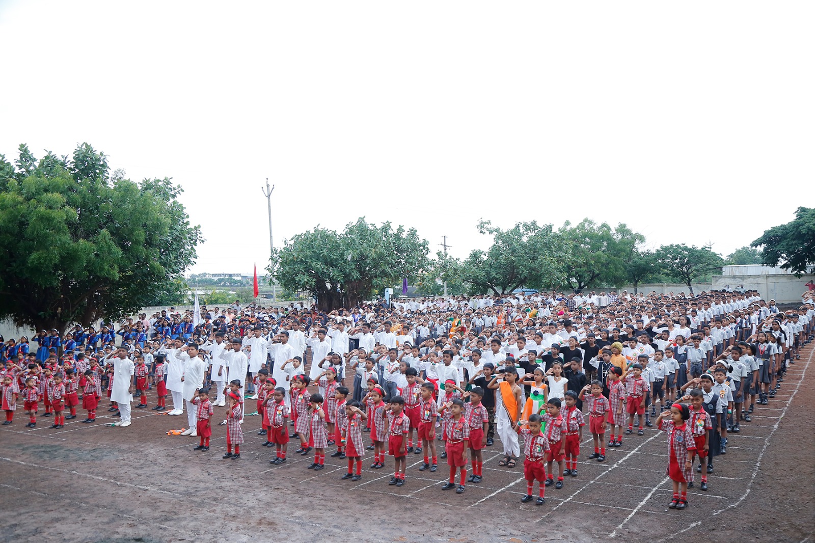 15 August